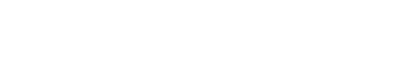 THE-TOMMY-NEPHEW-EXPERIENCE-LOGO